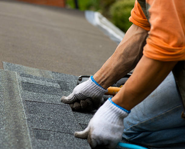 Roof Gutter Cleaning in Diablo Grande, CA